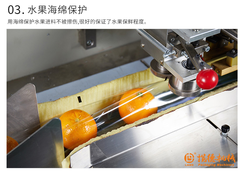 海綿保護(hù)橙子 海綿保護(hù)橙子